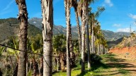 El parque temático de la naturaleza de Carrataca despega