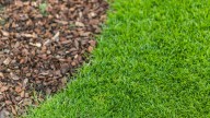 Is The Mulch Barrier In Your Yard Actually Attracting Ticks? Here's What We Know