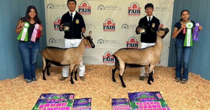 Kern County Fair: Day Two The Dairy Goat Show