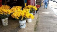 Motociclistas fueron arrollados mientras hacían delivery de unas flores amarillas