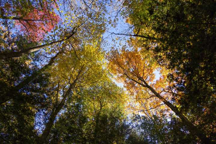 Cuyahoga Valley National Park murder case highlights trauma when rapes go unsolved