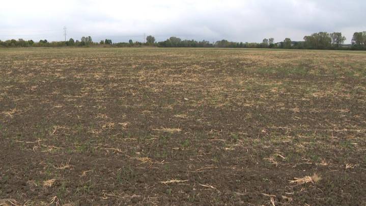 Planned Fallen Timbers housing development falls through, lawsuit filed