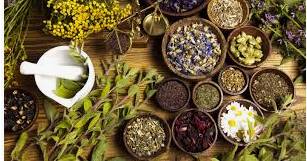 ¿Cómo combatir la obesidad con medicina natural?