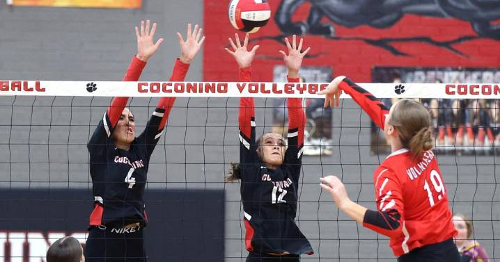 Panthers volleyball falls to Lee Williams in 4 sets to close loaded week