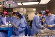 Another New Hampshire man gets a pig kidney as transplant trials are poised to start