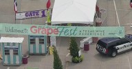 What to expect at Grapefest this year