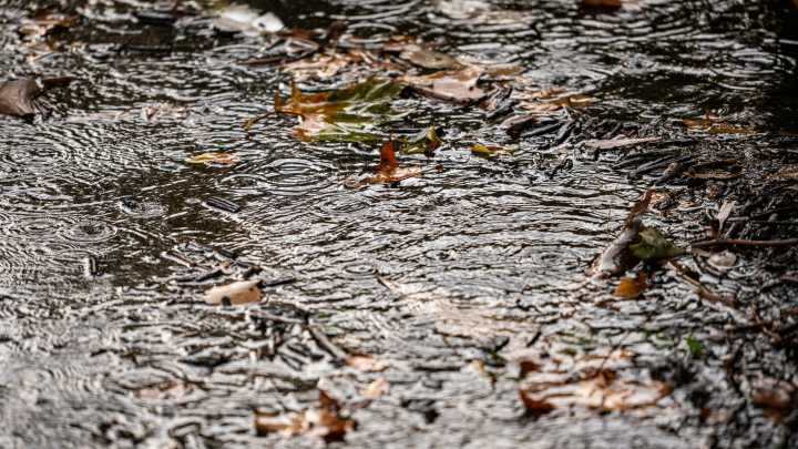 1 place in the UP got 7 inches of rain Tuesday. See the list of rain totals