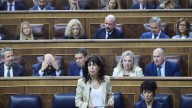 La delegada de violencia de género se desmarca de Redondo y pide disculpas por las pulseras antimaltrato