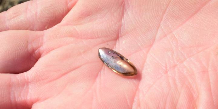 Family finds 2.79-carat diamond during birthday trip