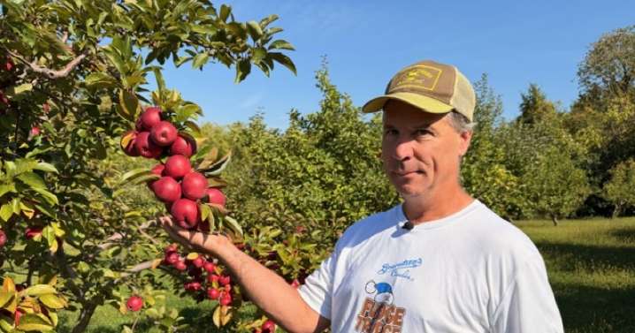 New Berlin orchard preserves agricultural history dating back centuries