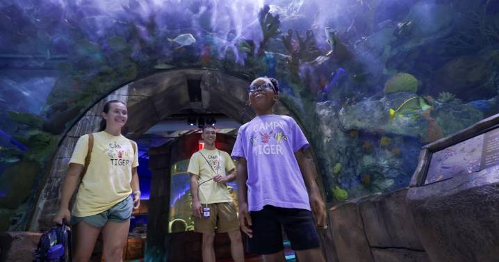 6 great things you can find for free at your metro libraries, from local music to garden seeds