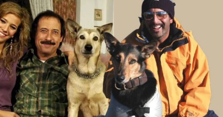De tiernos cachorros y perros exitosos a un trágico final: así fue la increíble vida de Fatiga y Betún, los hermanos que brillaron en “Los Simuladores” y “Casados con hijos”