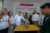 Inicia en Yucatán la Semana Nacional de Vacunación Antirrábica Canina y Felina 2025; prevén aplicar más de 414 mil dosis