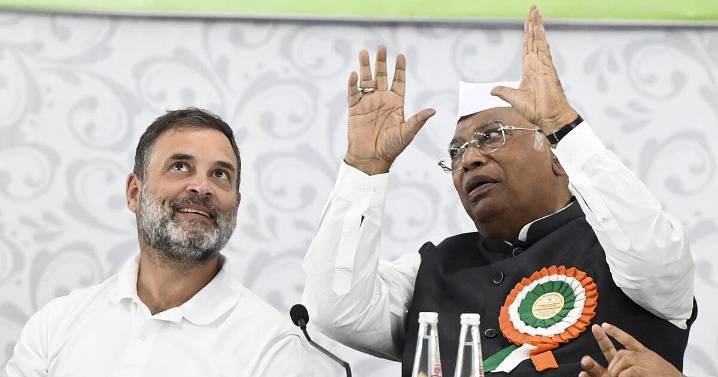 Bihar More 'bombs' on vote chori to explode in a month: Rahul tells CWC