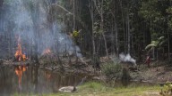 Estudio revela el origen de la sequía en el Amazonas