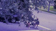 ‘It was scary:’ DeLand community calls for changes after 2 boys nearly hit at intersection