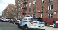 Woman allegedly stabbed by son, 18, at Staten Island home has request for judge