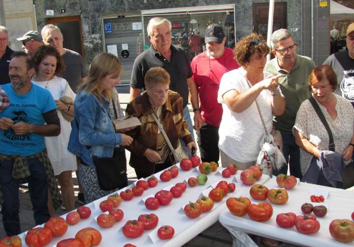 Escaparate de los mejores tomates