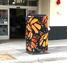 Butterflies
