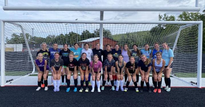 H.S. GIRLS SOCCER: Dansville picks up first win behind Hayes, Hurlbut, Hanks; Bucci's goal propels Geneseo over Avon