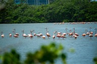 Gobierno regional solicitó prohibición inmediata de motos acuáticas en Laguna Blanca
