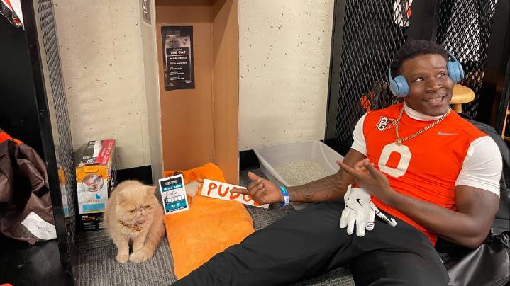 Louisville's feline-friendly welcome charms BGSU's Pudge the cat