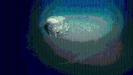 Strange Halos Have Formed Around Barrels Of Chemicals Dumped Off Los Angeles Coastline Over 50 Years Ago