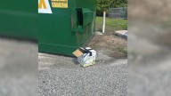 Florida Rescuers Were Stunned After Discovering Furry Babies In A Small Box Next To A Parking Lot