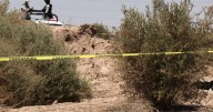 Hallazgo en zona desértica moviliza a las autoridades en San Luis