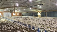 Perdue Farms lays off 293 workers at Southern Indiana processing facility