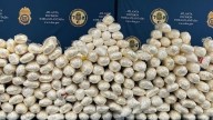 DEA incauta más de 400 kilos de metanfetamina del CJNG en Atlanta