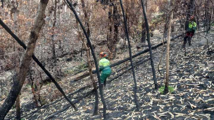 Primeras barreras en Galicia para salvar los ríos de las cenizas de los incendios