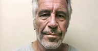 New Epstein docs: Musk meeting, Prince Andrew on plane