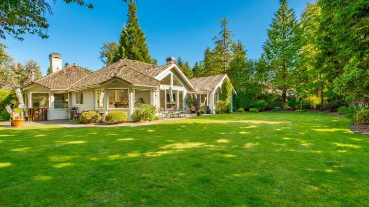 The Drought-Tolerant Grass Seed That Will Have Your Lawn So Lush And Soft