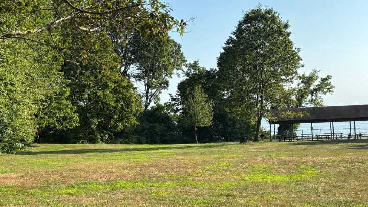 New Haven police arrest man suspected of sexually assaulting jogger
