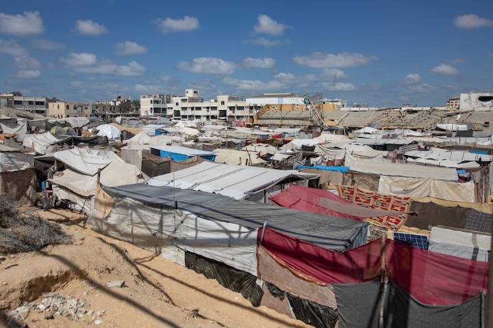 Hamás analiza propuesta de paz en Gaza y Donald Trump fija plazo