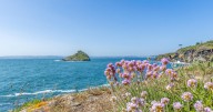 Man falls off cliff at Hope's Nose
