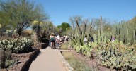 La ciudad de Phoenix ofrece actividades para todos los gustos en esta temporada