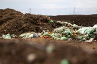 Here’s what to know about Denver’s new composting rules
