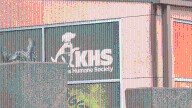 KHS puts out plea for puppy formula, cat treats
