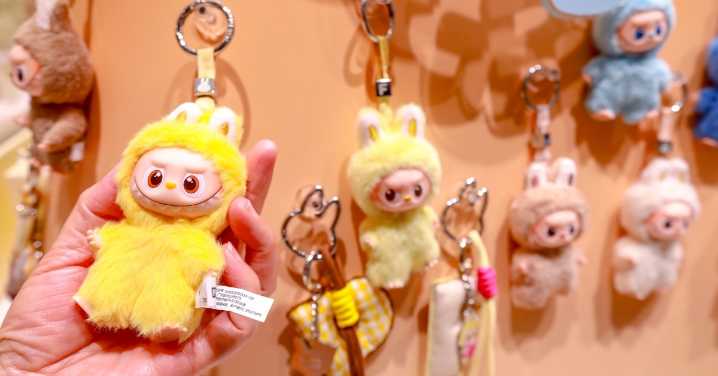 Woman Sold Her Soul for a Labubu Doll Collection