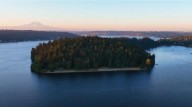 Visit “The Magnificent Forest” near downtown Seattle