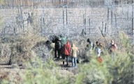 Presume Trump baja de 91% en migración irregular