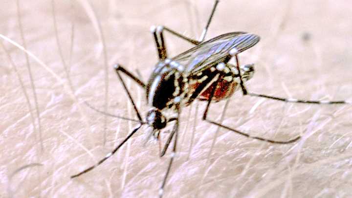 North Dakota reports most West Nile virus cases in seven years