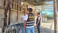 Talara: sentencian a dos extranjeros por hurto agravado en Máncora