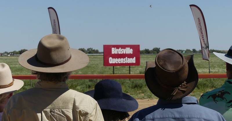 The sport of kings, mates and memories in Birdsville
