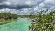 Cooperativa Maya de Muyil gana premio internacional de Tripadvisor