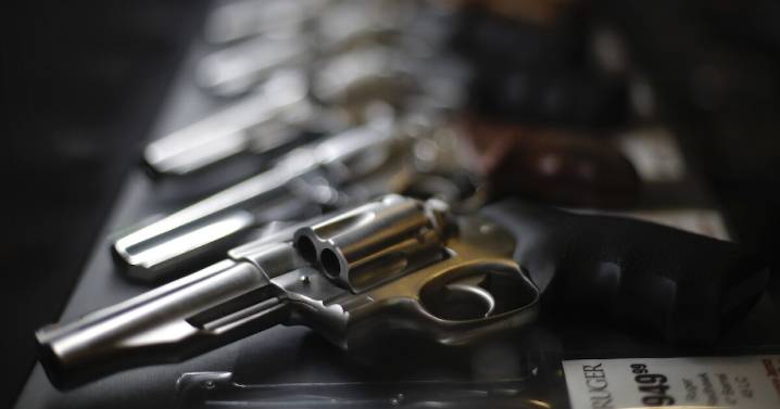 Tennessee Republicans and Democrats unite to challenge gun law court ruling that could reshape carry rights
