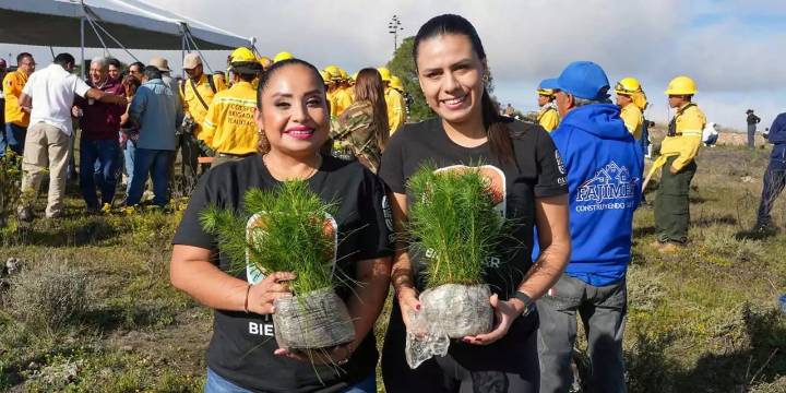 Reforestan más de mil hectáreas en San Juan Bautista Coixtlahuaca