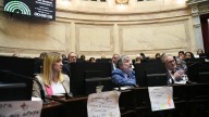 Senado: con respaldo de los gobernadores, la oposición sesionará para rechazar el veto de Milei a la ley de los ATN